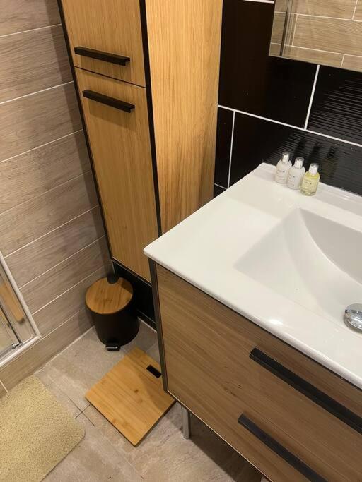 Appartement Style Chalet Standing 2 A 6 Personnes La Bourboule Exterior photo